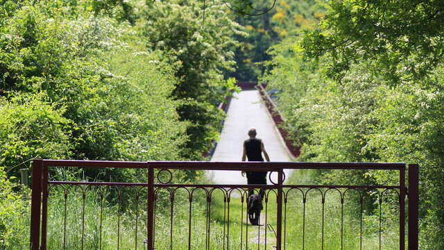 Sentier découverte du viaduc du pont marteau : le bois de la dame