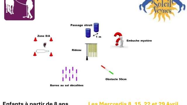 Découverte Equifeel