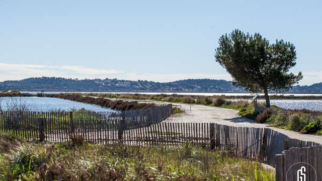 Exposition La saga des plantes libres