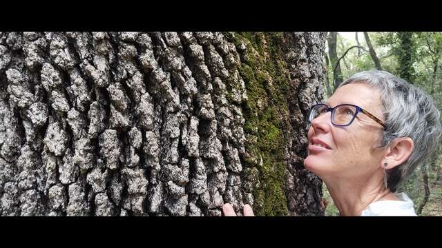 Sortie Shinrin Yoku ou Bain de Forêt
