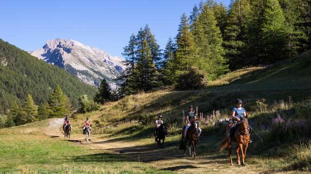 Rando 1/2 journée au rythme des sabots - La sportive -