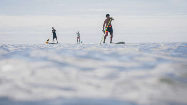 Katamaran-/Windsurf-/Funboard-/Paddle-/Kajak-Verleih durch Ile de Ré Voile in Loix