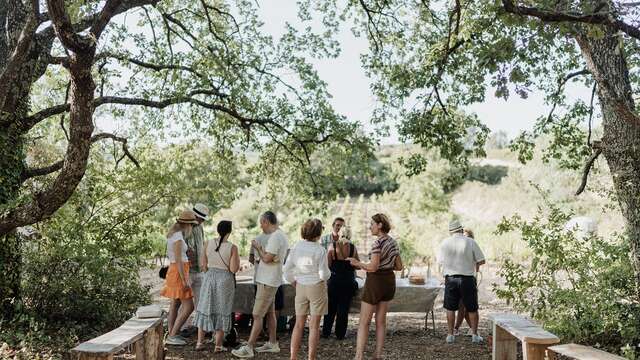 Balades vigneronnes "Au chemin du bonheur"