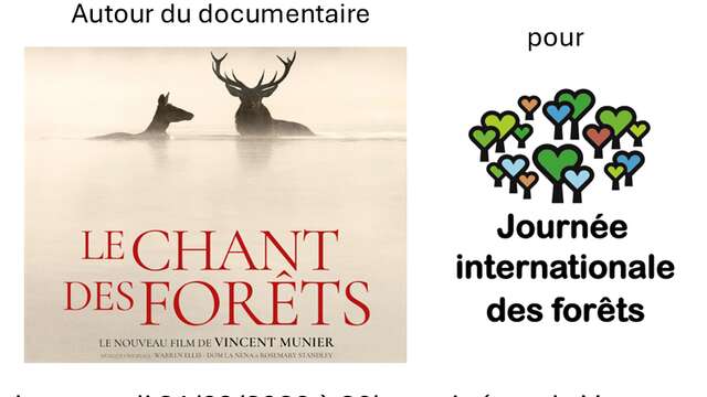 Ciné-rencontre sur la préservation des forêts