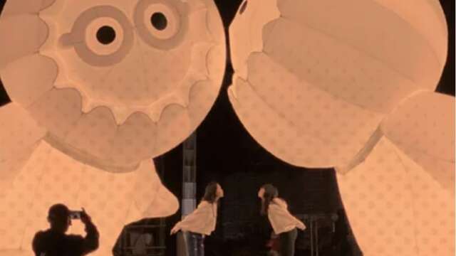 Los Anooki en Aviñón