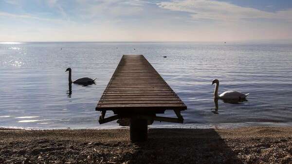 Champ de l'eau Beach