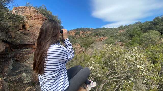 Balade naturaliste des étangs de Villepey by les balades d'Alex