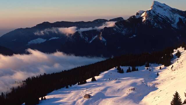 Forêt de l'Ocepe - Itinéraire hiver