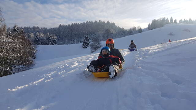 Descente luge