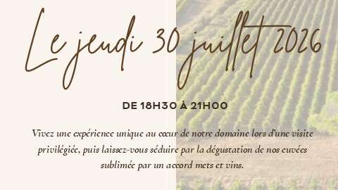 A unique experience at Clos Mireille – Domaine OTT