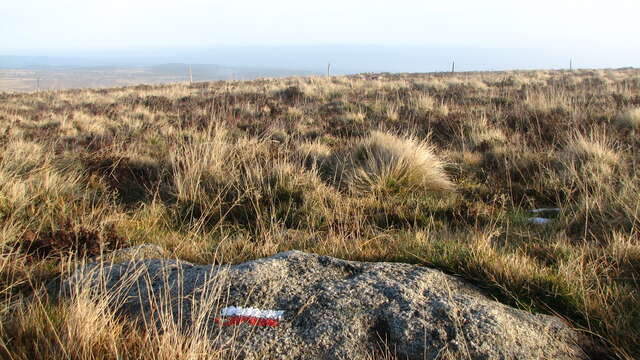 GR®3 en Loire Forez