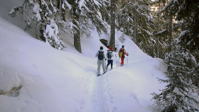 Sneeuwschoenwandeling : Montalbert