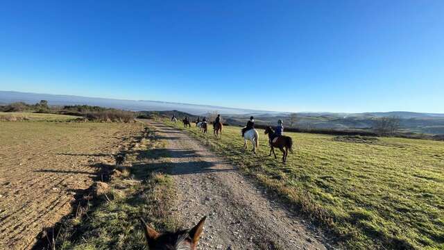 Randonnées à cheval - Centre Equestre Régional du Forez