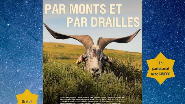 Projection en plein air
