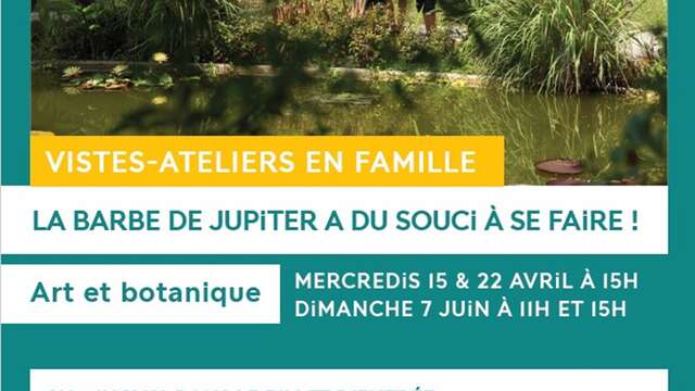 Visite-atelier famille au Val Rahmeh : la Barbe de Jupiter a du Souci à se faire !