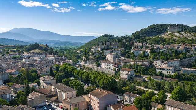 Vaison-la-Romaine