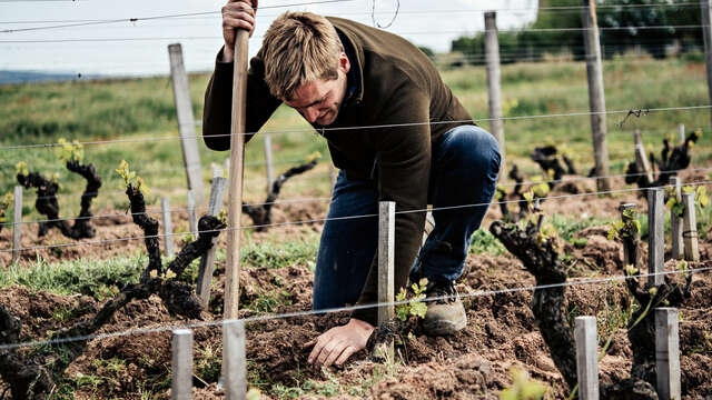 Visite -"château du Moulin-à-Vent, une histoire de terroirs !"