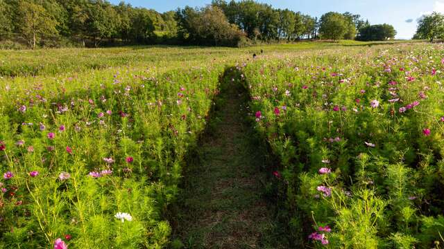 Domaine les Davids - La Promenade des Davids