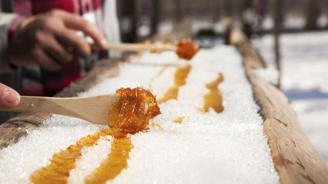 Maple syrup lollipop" stand