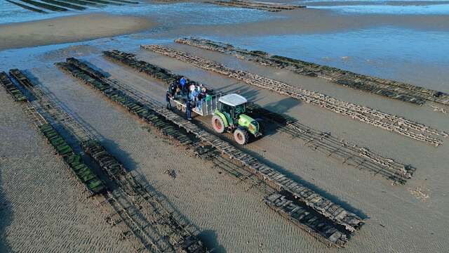 Immersive sea tour of the oyster beds (2h30) by Dealer d'Iode