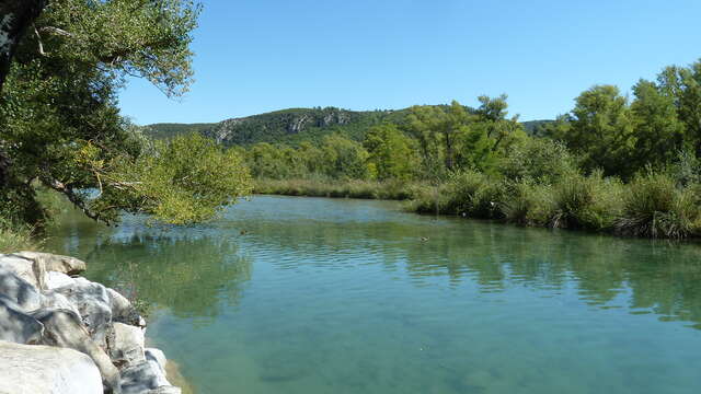 Balade nature : Verdon, portrait d'une rivière