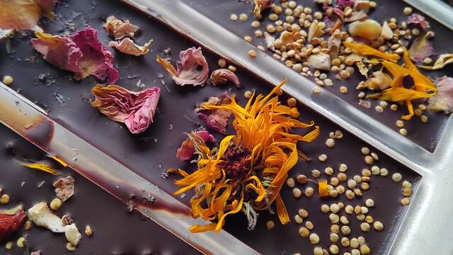 Atelier découverte du chocolat