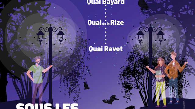 Sortie sur le terrain : Sous les lampadaires !