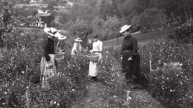 Visite de la passion - parfumeries de SEILLANS - Chemins parfumés UNESCO