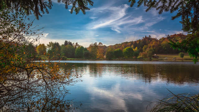 Le Parc des Dronières