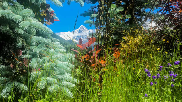 Randonnée des Chavants au Col de la forclaz par Charousse