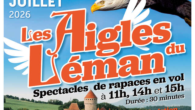 Spectacles de rapaces en vol