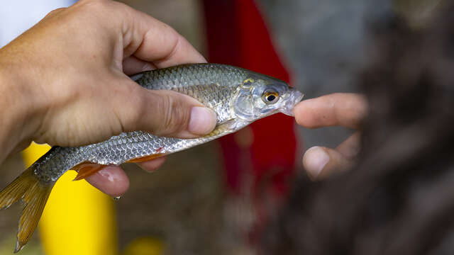 Atelier pêche - Découverte au lac du Tordre