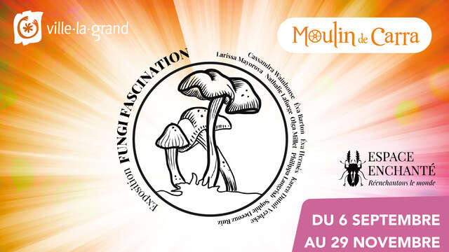 Exposition artistique Fungi Fascination