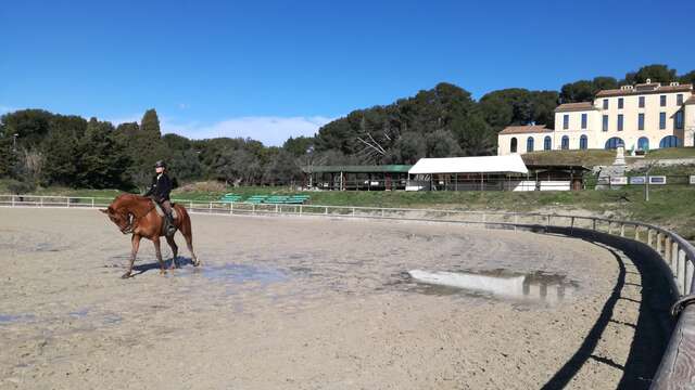 Matinée balade à cheval avec le Deven