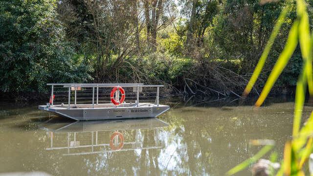 Roselière Hand-Pulled Ferry