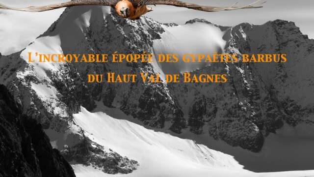 Festival du film vert: Dimitri, Mison et les autres...