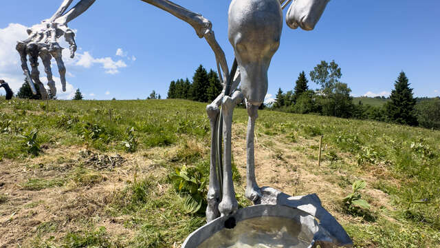Sculpture de Guilia Cenci - Biennale Artocène
