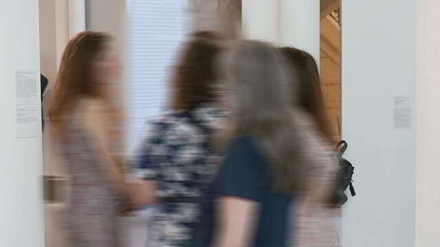 Séminaires d'Histoire de l'Art au Musée Estrine