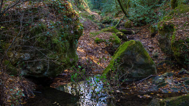Promenade : Cascade de Gourbachin - Bagnols-en-forêt