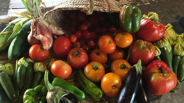 La Cueillette du Rocher