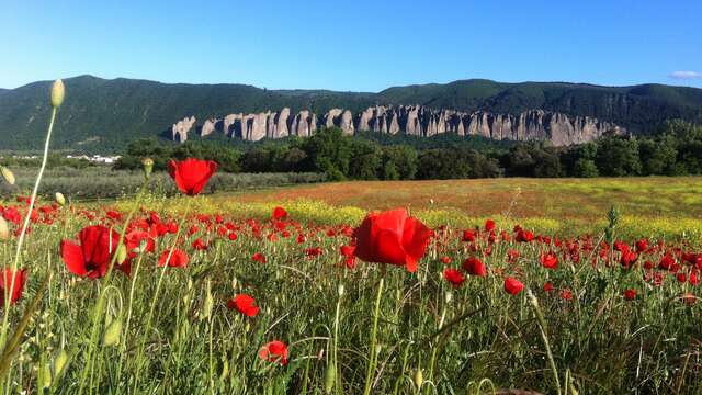 VTT n°25 - Le Grand Tour des Pénitents