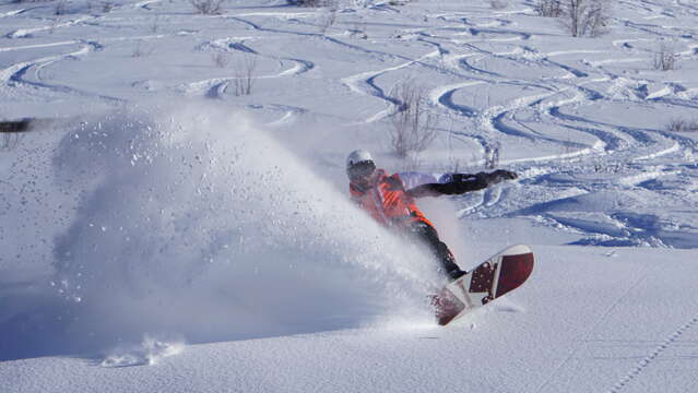 Scuola di sci e snowboard Proski