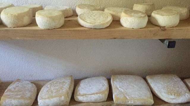 Vente de Fromage du Berger des Merveilles, Brebis Brigasques