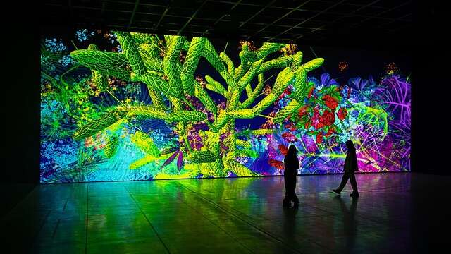 Nocturnes Exposition Digital Floralia