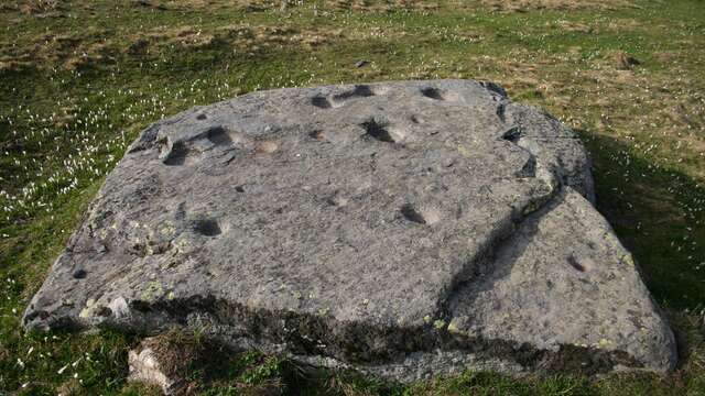 Cup-and-ring stones