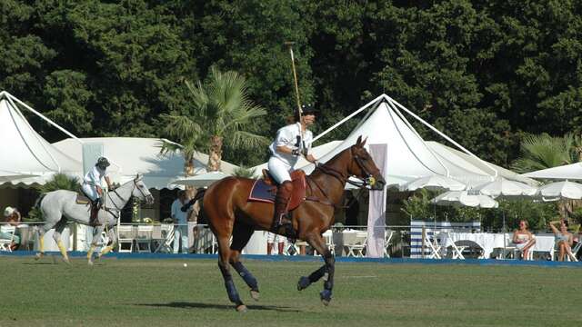 Tournoi de polo - Womens polo series