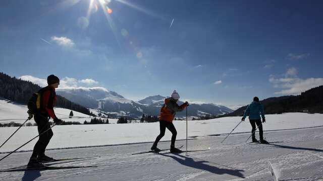 Initiation skating - Site des Mouilles