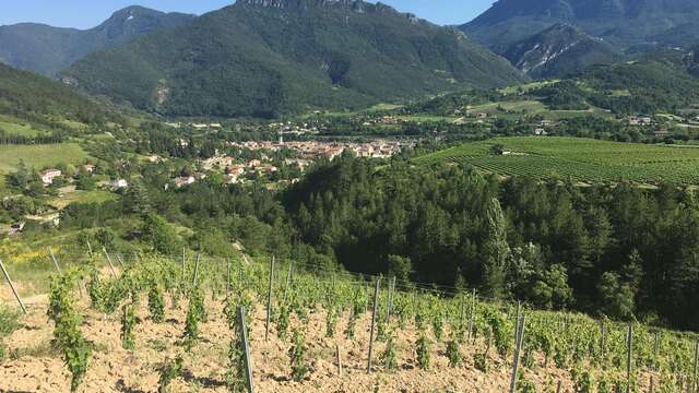 La Drôme de ferme en ferme - Domaine Jean Claude Raspail et fils