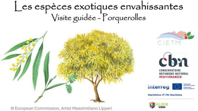 Passeggiata naturalistica sull'isola di Porquerolles - I tesori del Var in pericolo
