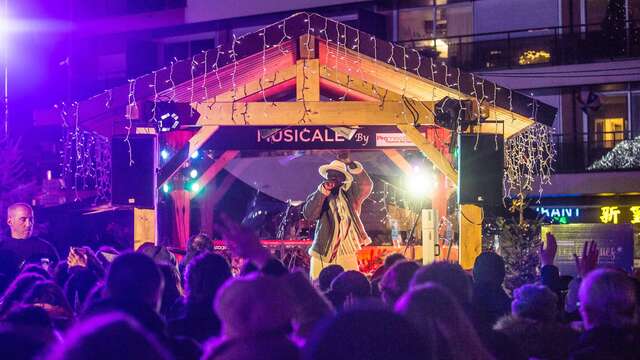 Les Féériques - Soirées musicales et festives